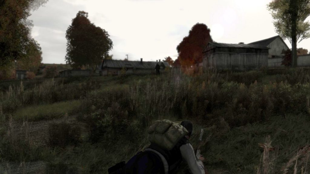 arma2_dayz2