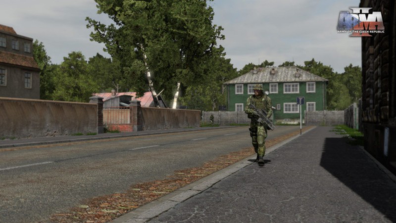 Arma_2_Czech4