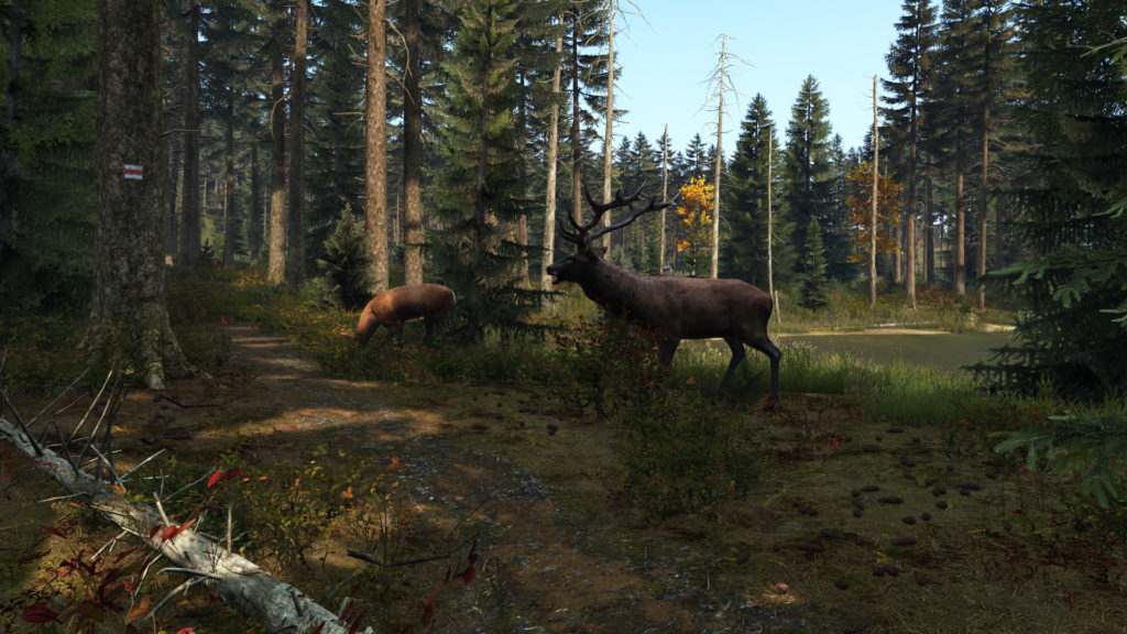 dayz1