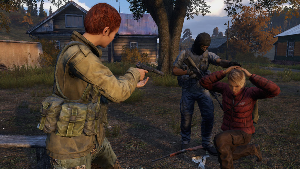 dayz3