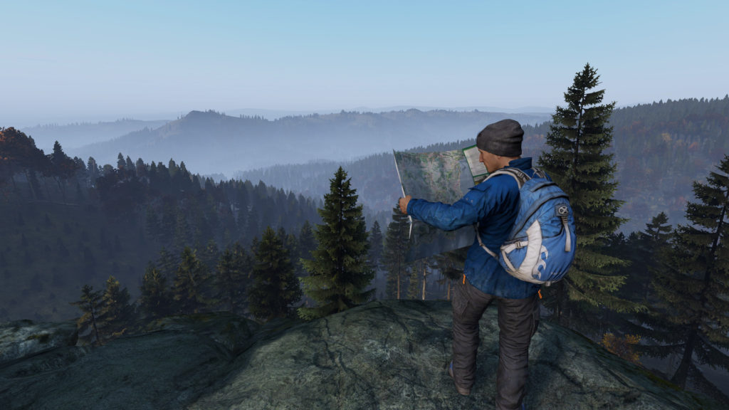 dayz4