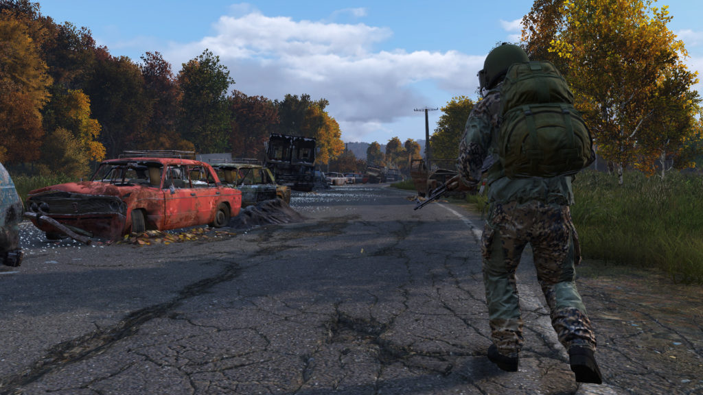 dayz6
