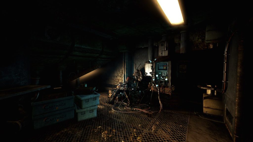 soma5