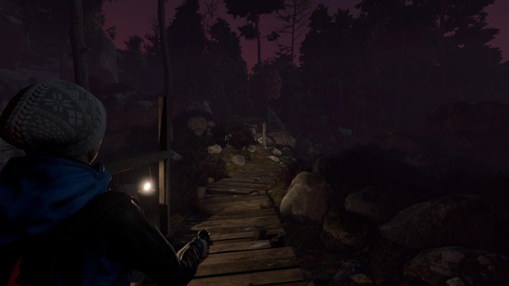 Through the Woods3