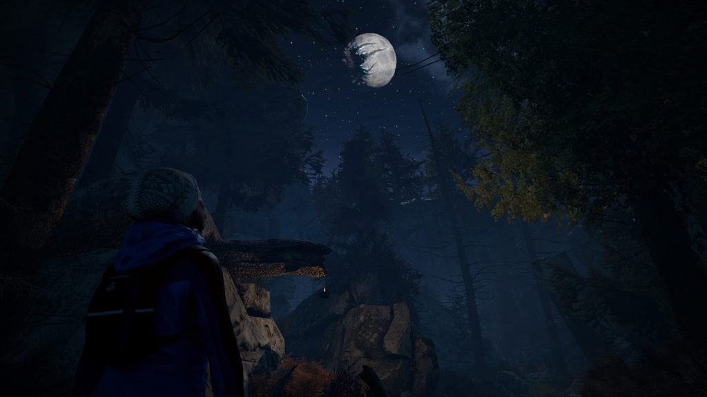 Through the Woods4
